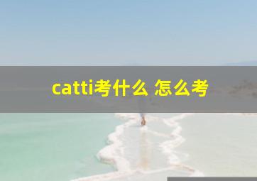 catti考什么 怎么考